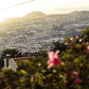 Hortensia Gardens , Funchal (Madeira) Portugal